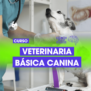 VETERINARIA
