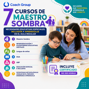 7 CURSOS DE MAESTRO SOMBRA